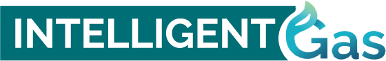 Logo de IntelligentGas