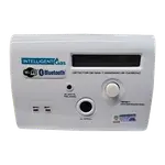 IntelligentGas WiFi Dual Gas and CO Detector