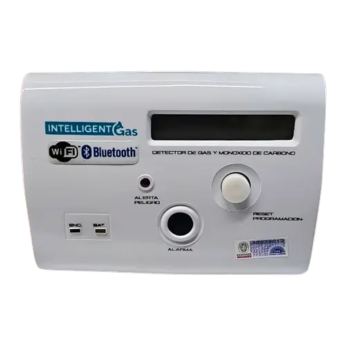 IntelligentGas WiFi Dual Gas and CO Detector