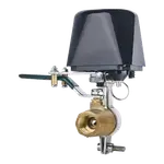 Starligh WiFi Gas/Water Valve